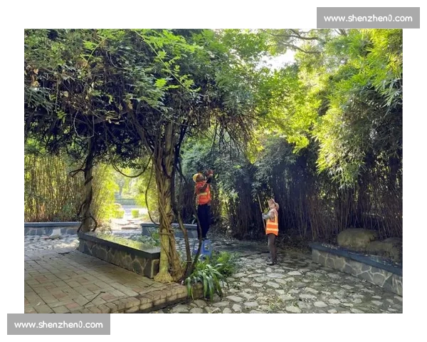 以球迷协会为纽带推动城市体育文化共建共享新格局发展路径实践